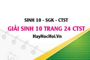 Giải Sinh 10 trang 24 Chân trời sáng tạo SGK